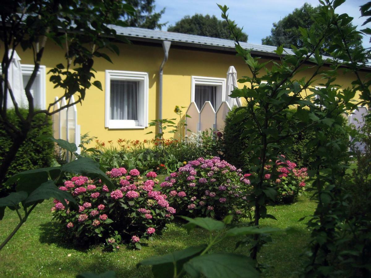 Haus Am Wald Apartment Heringsdorf  Exterior photo